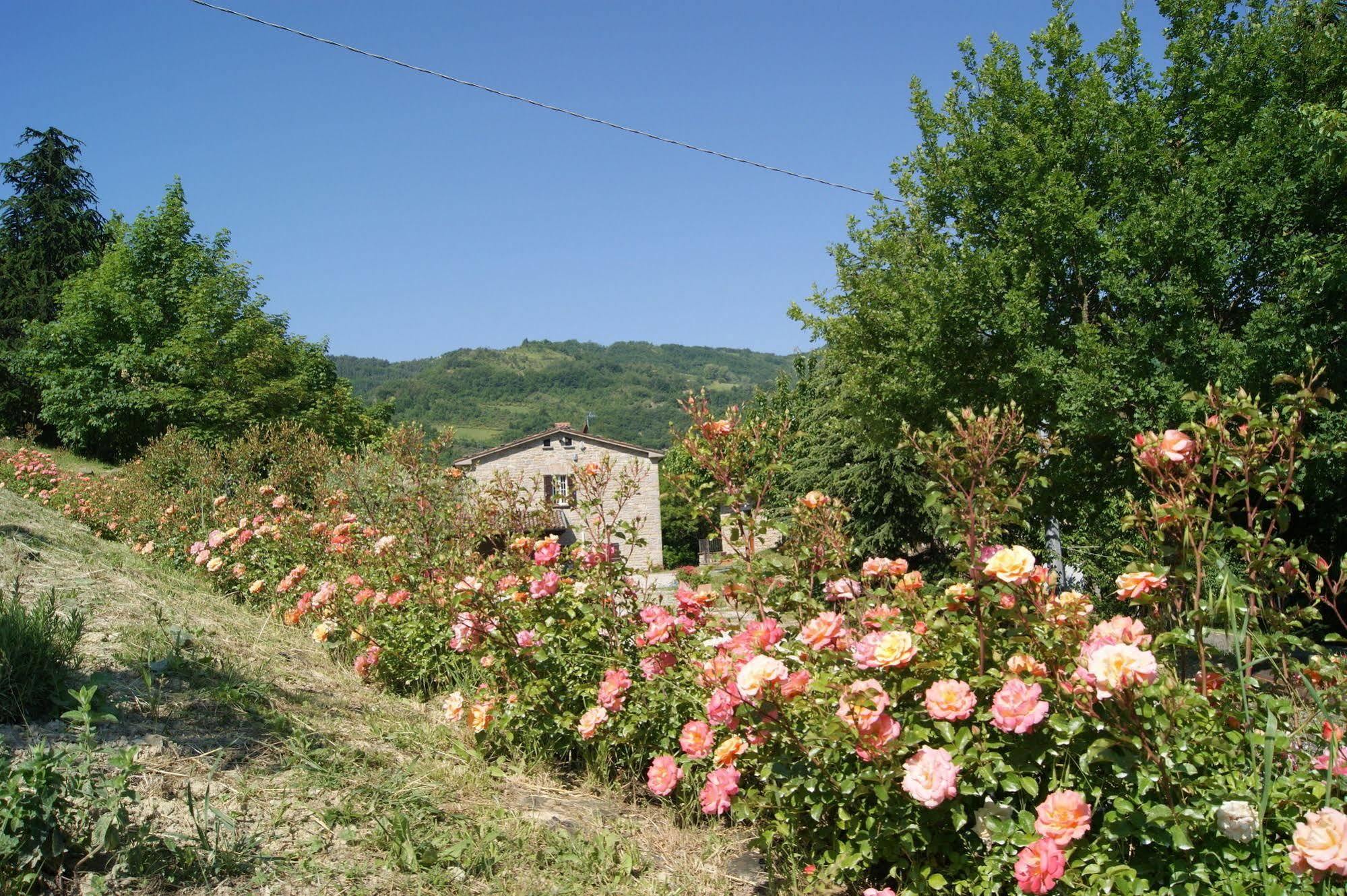 Agriturismo Corte Dei Mori Brisighella Exterior photo